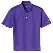Varsity Purple 