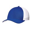 Royal/White 