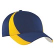 True Navy/Gold 
