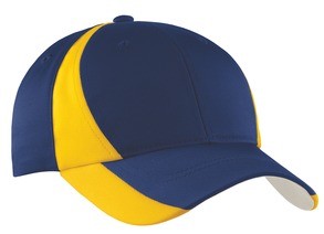 True Navy/Gold 
